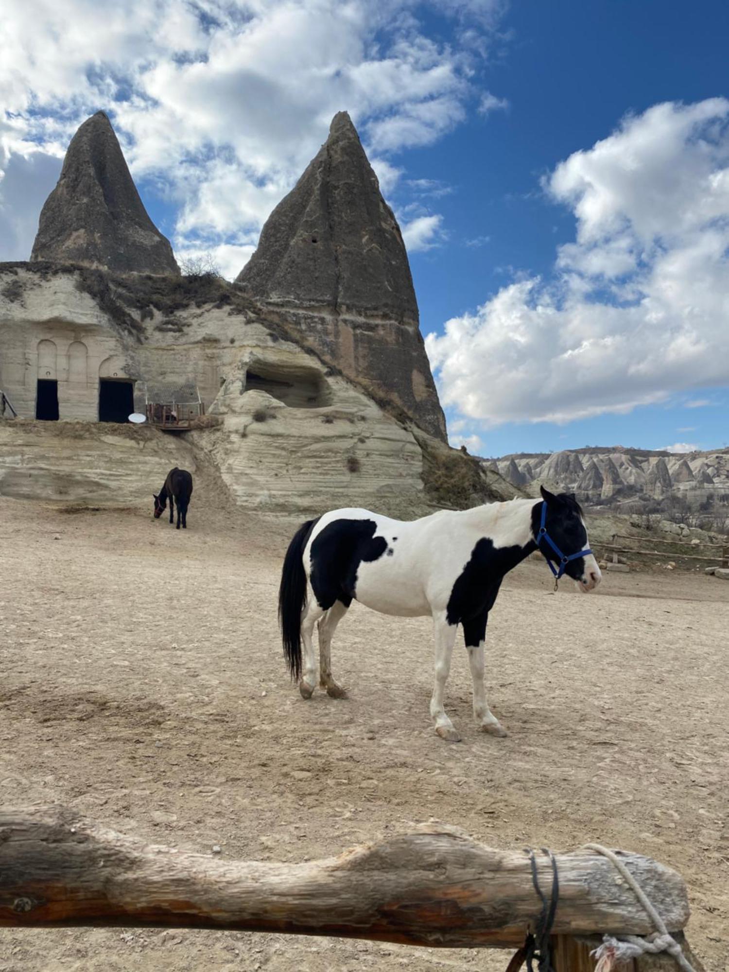 Отель Sinasos Evleri Невшехир Экстерьер фото